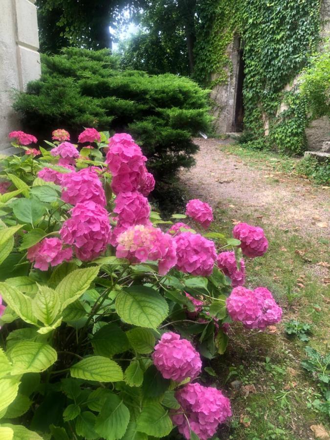 Demeure Des Payratons Bed & Breakfast Saint-Gerand-le-Puy Exterior photo